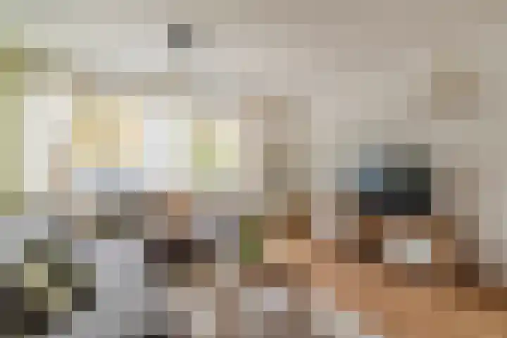 Adelaartlaan 73 Geldrop thumbnail 17