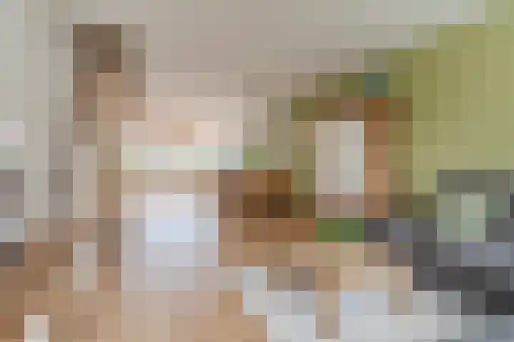Adelaartlaan 73 Geldrop thumbnail 19
