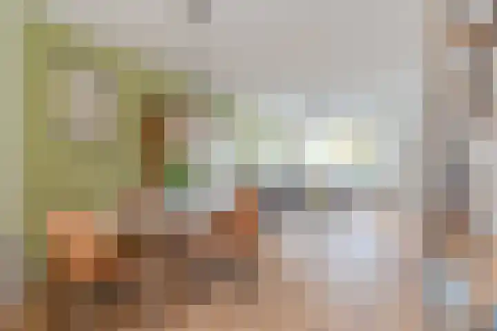 Adelaartlaan 73 Geldrop thumbnail 22