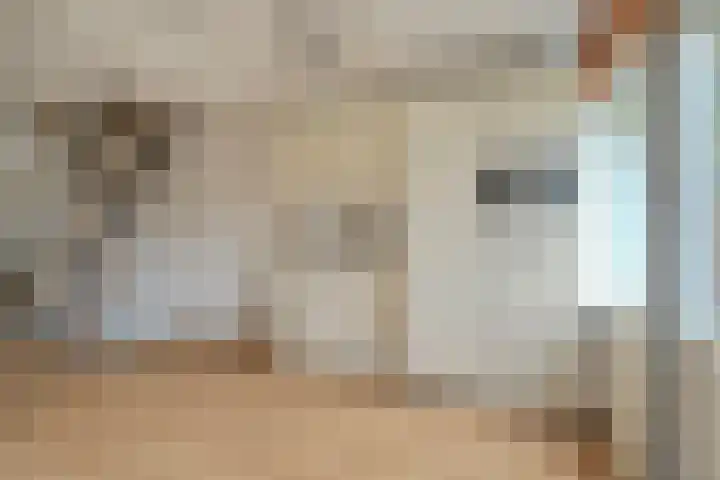 Adelaartlaan 73 Geldrop thumbnail 26