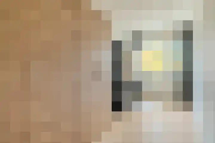 Adelaartlaan 73 Geldrop thumbnail 31