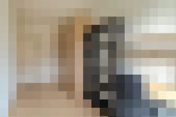 Adelaartlaan 73 Geldrop thumbnail 33