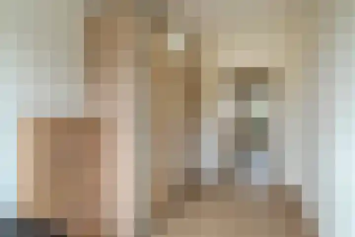 Adelaartlaan 73 Geldrop thumbnail 35