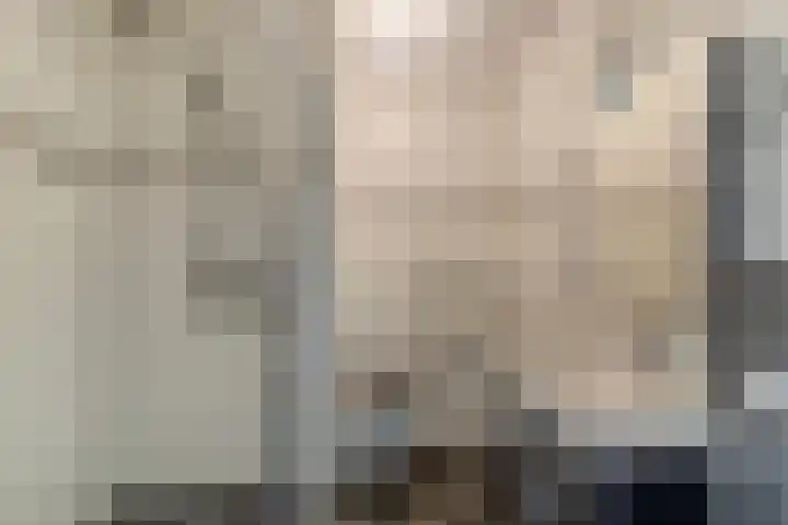 Adelaartlaan 73 Geldrop thumbnail 36