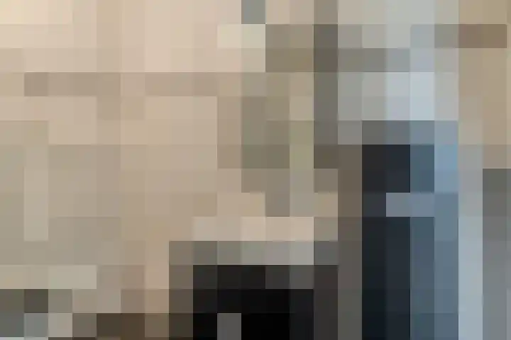 Adelaartlaan 73 Geldrop thumbnail 38