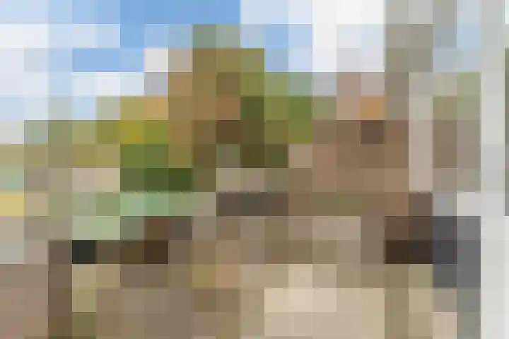Adelaartlaan 73 Geldrop thumbnail 39