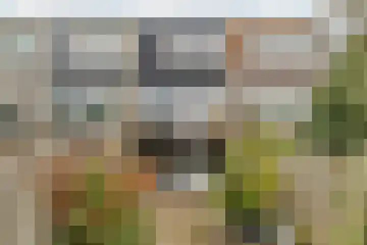 Adelaartlaan 73 Geldrop thumbnail 4