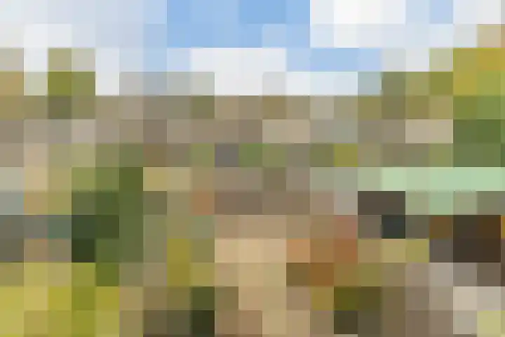 Adelaartlaan 73 Geldrop thumbnail 40