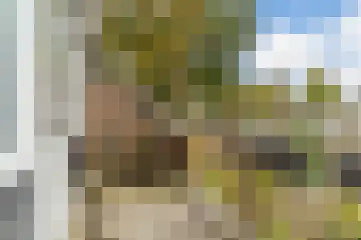 Adelaartlaan 73 Geldrop thumbnail 41