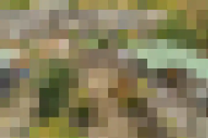 Adelaartlaan 73 Geldrop thumbnail 42