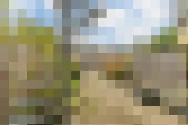 Adelaartlaan 73 Geldrop thumbnail 43