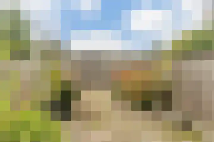 Adelaartlaan 73 Geldrop thumbnail 44