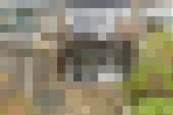 Adelaartlaan 73 Geldrop thumbnail 48