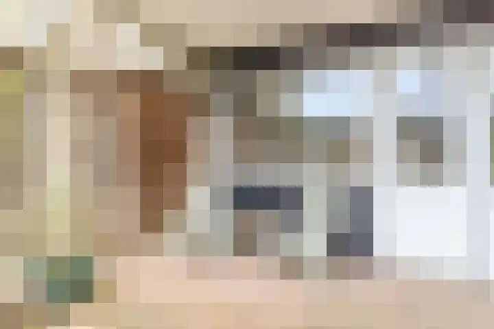 Adelaartlaan 73 Geldrop thumbnail 49