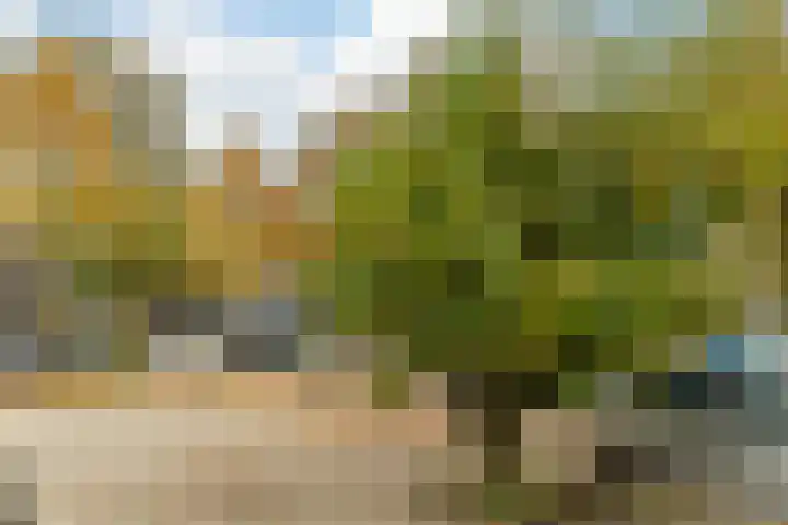 Adelaartlaan 73 Geldrop thumbnail 50