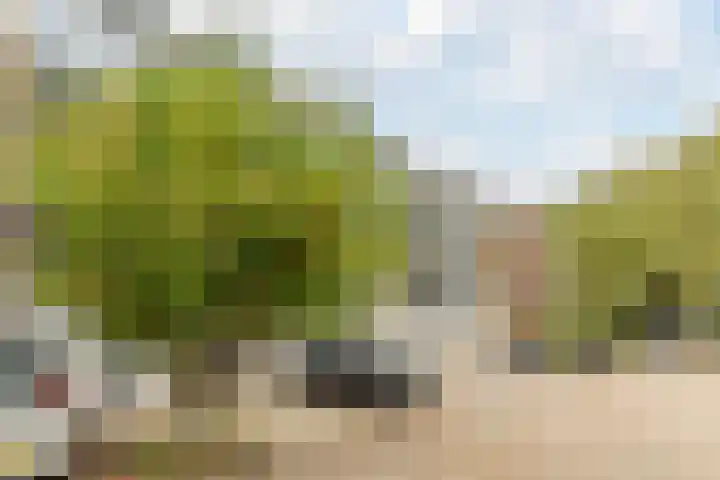 Adelaartlaan 73 Geldrop thumbnail 56