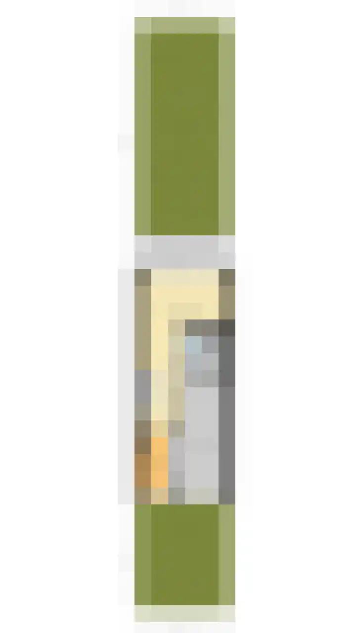 Adelaartlaan 73 Geldrop thumbnail 61