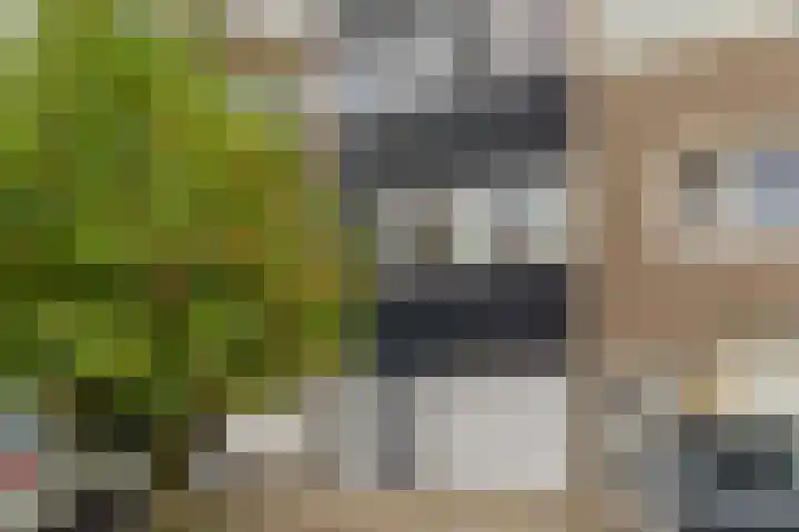 Adelaartlaan 73 Geldrop thumbnail 7