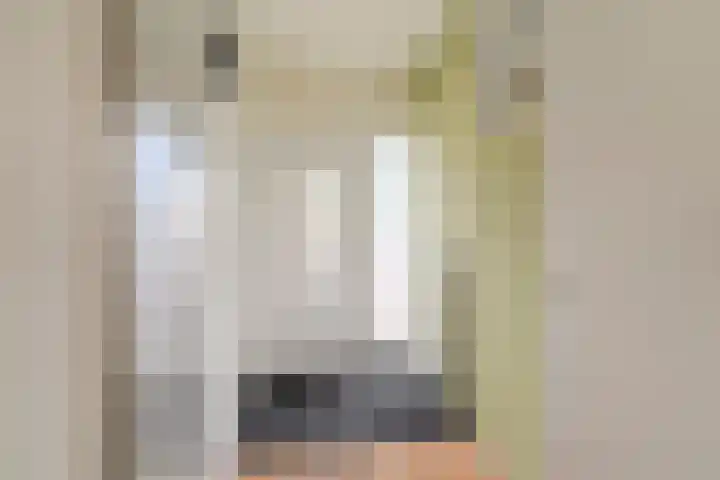 Adelaartlaan 73 Geldrop thumbnail 8