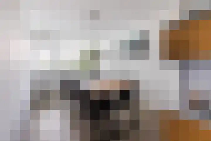 Adelaartlaan 76 Geldrop thumbnail 15