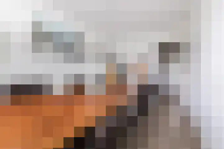 Adelaartlaan 76 Geldrop thumbnail 16