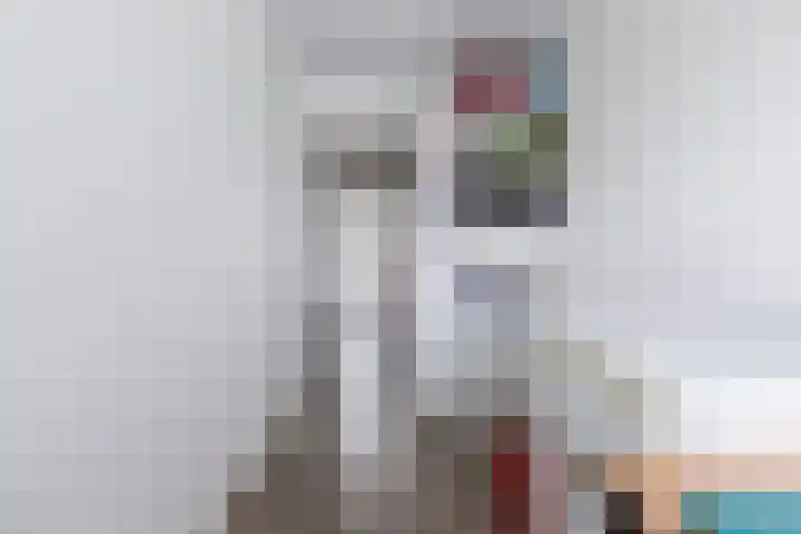Adelaartlaan 76 Geldrop thumbnail 19
