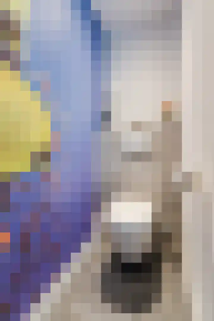 Adelaartlaan 76 Geldrop thumbnail 20