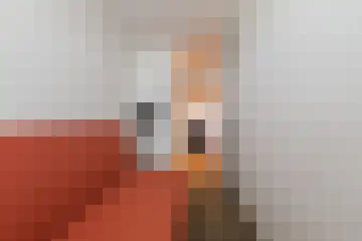 Adelaartlaan 76 Geldrop thumbnail 27