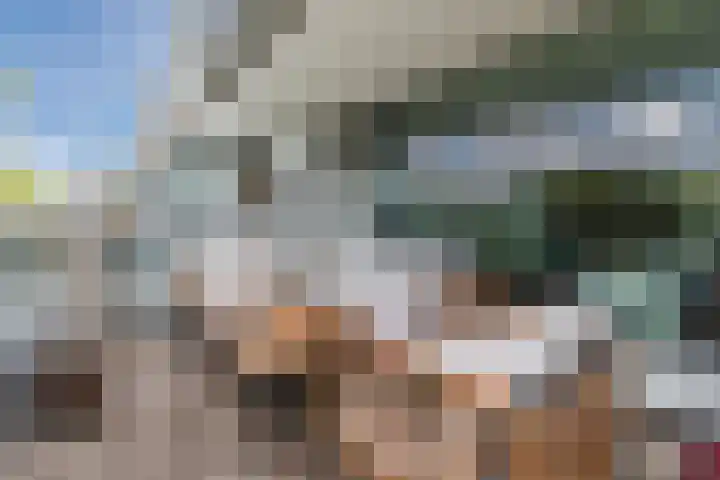 Adelaartlaan 76 Geldrop thumbnail 31