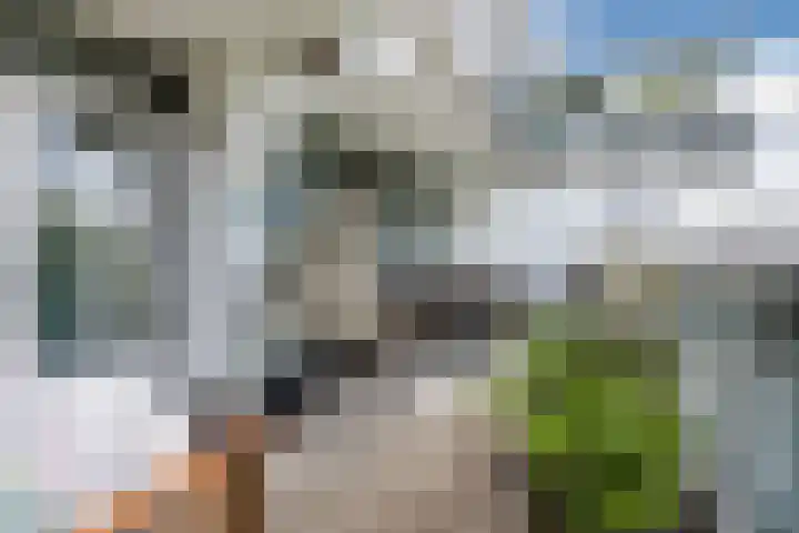 Adelaartlaan 76 Geldrop thumbnail 32