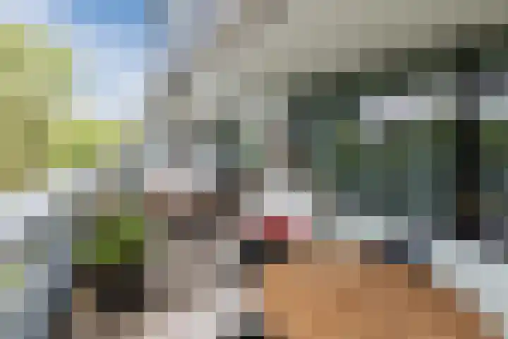 Adelaartlaan 76 Geldrop thumbnail 34