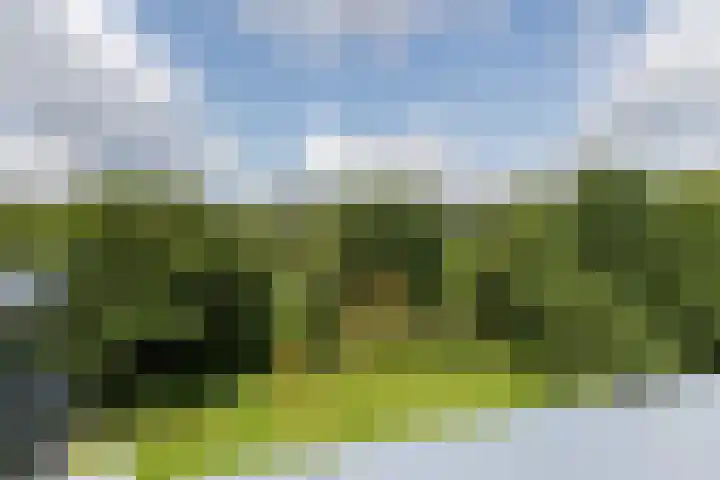 Adelaartlaan 76 Geldrop thumbnail 35
