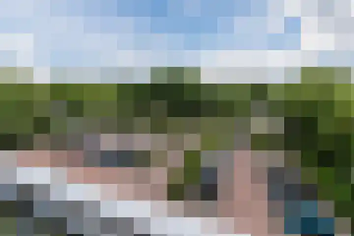Adelaartlaan 76 Geldrop thumbnail 37