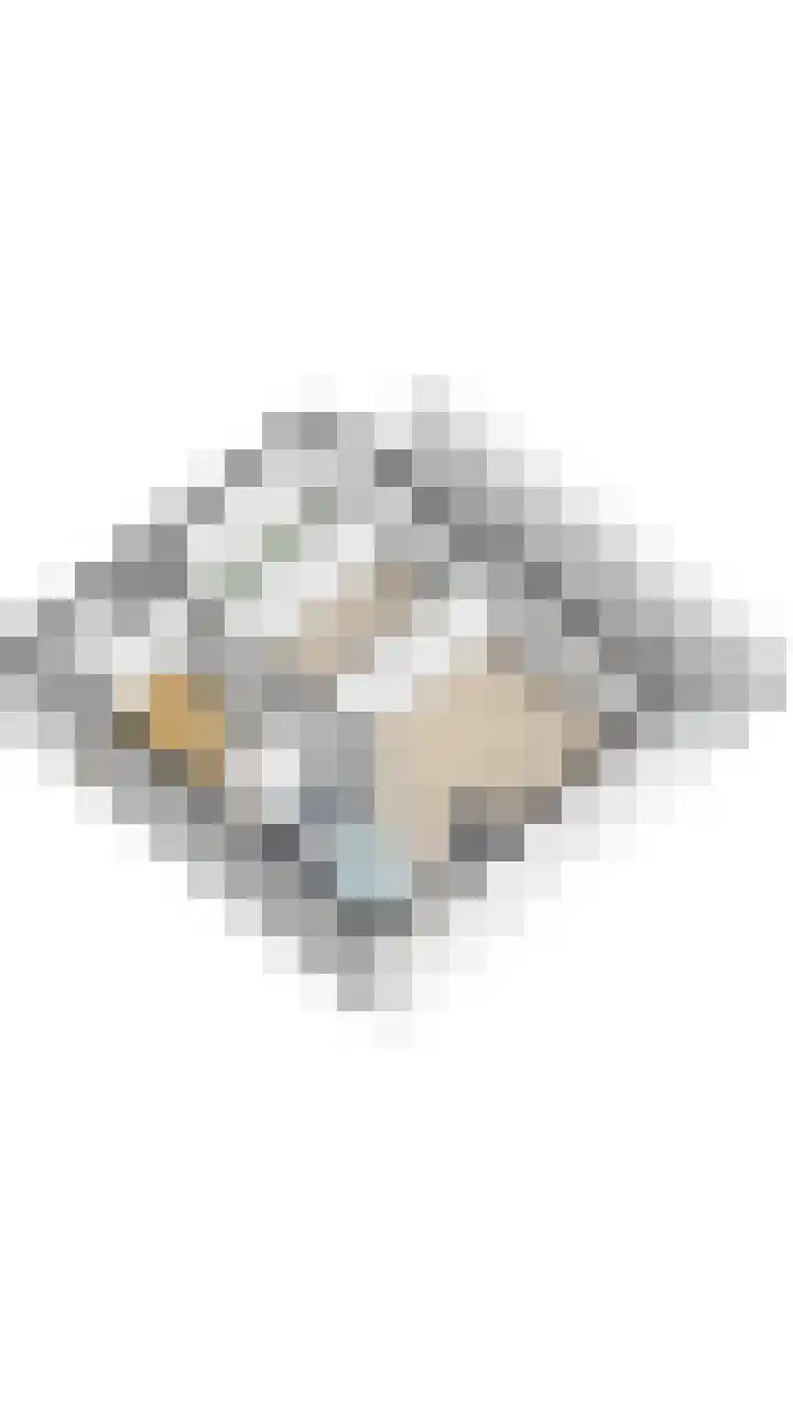 Adelaartlaan 76 Geldrop thumbnail 41