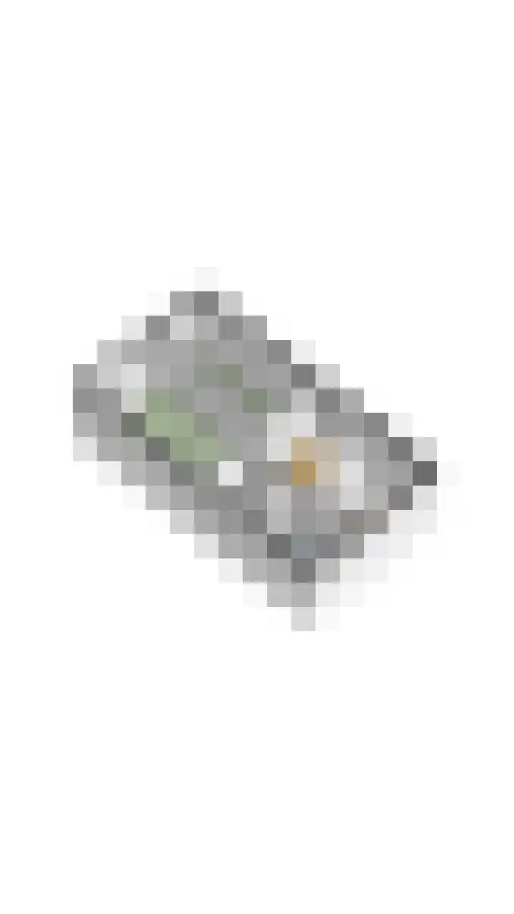 Adelaartlaan 76 Geldrop thumbnail 42