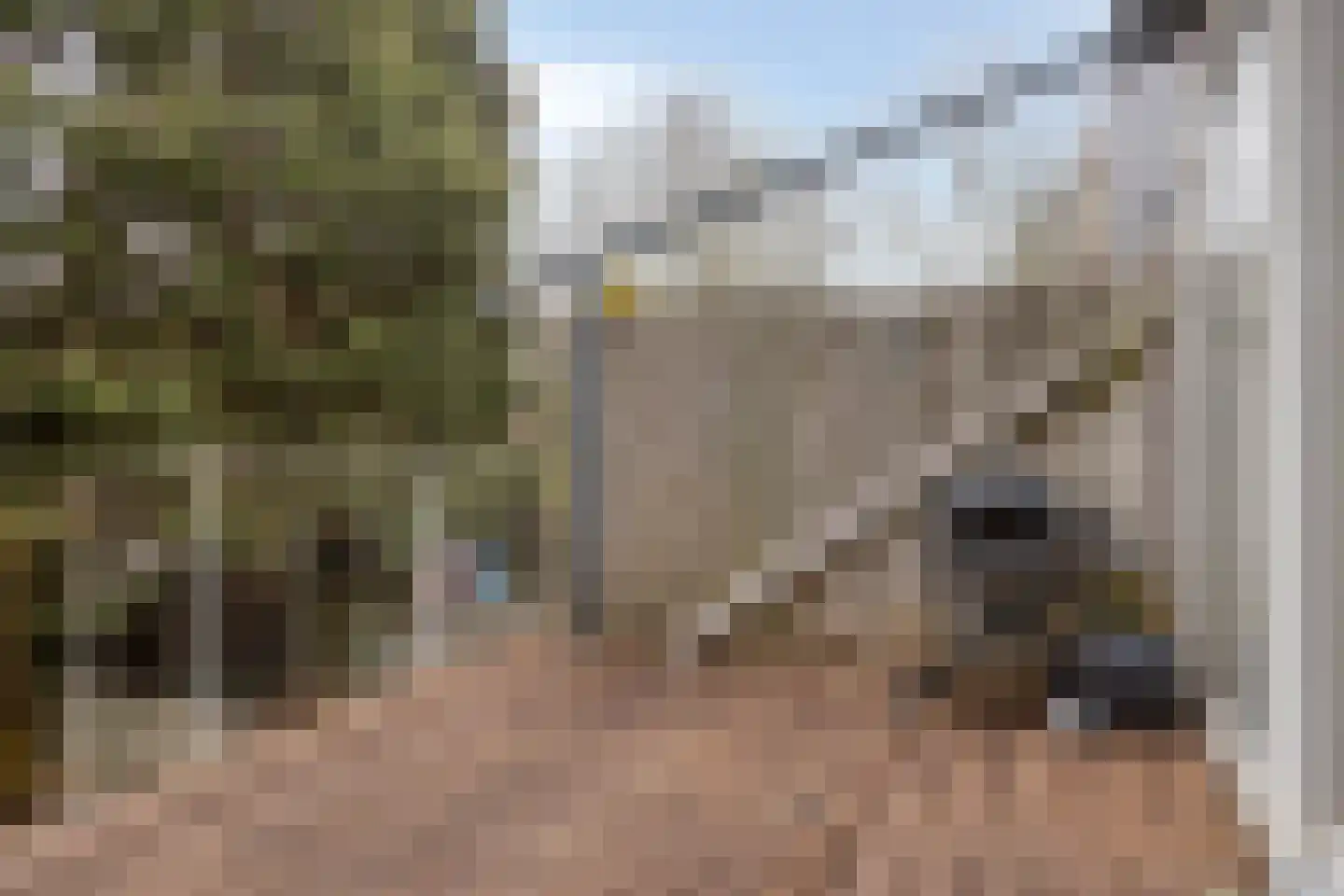 Adelaartlaan 79 Geldrop thumbnail 10