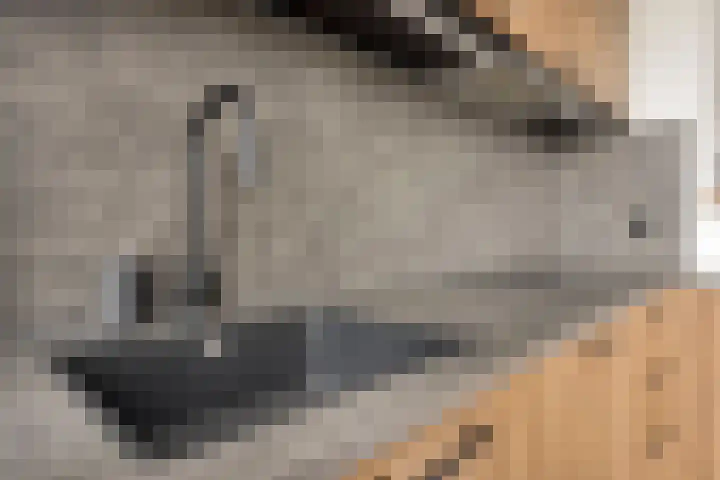 Adelaartlaan 79 Geldrop thumbnail 13