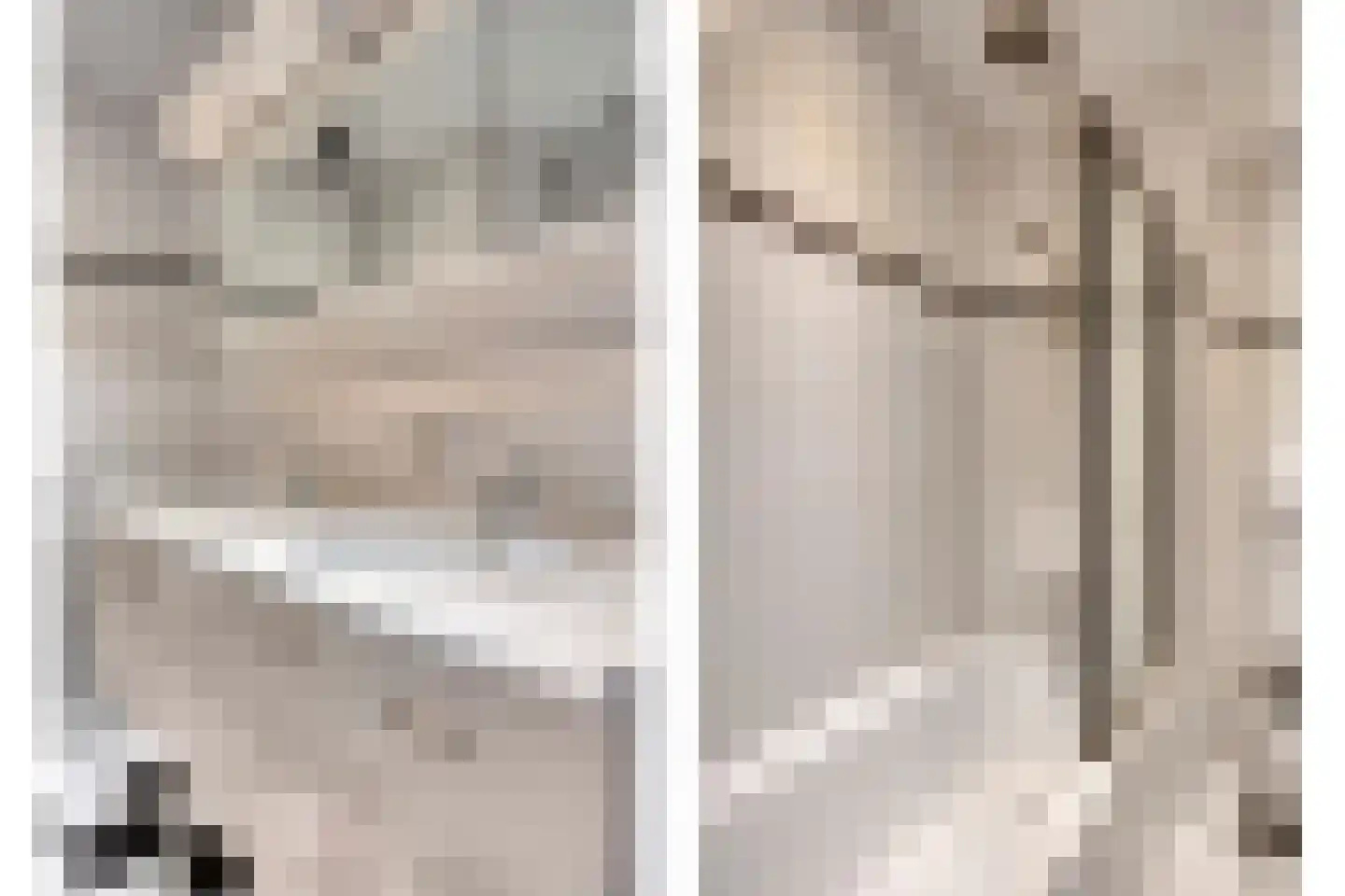Adelaartlaan 79 Geldrop thumbnail 20