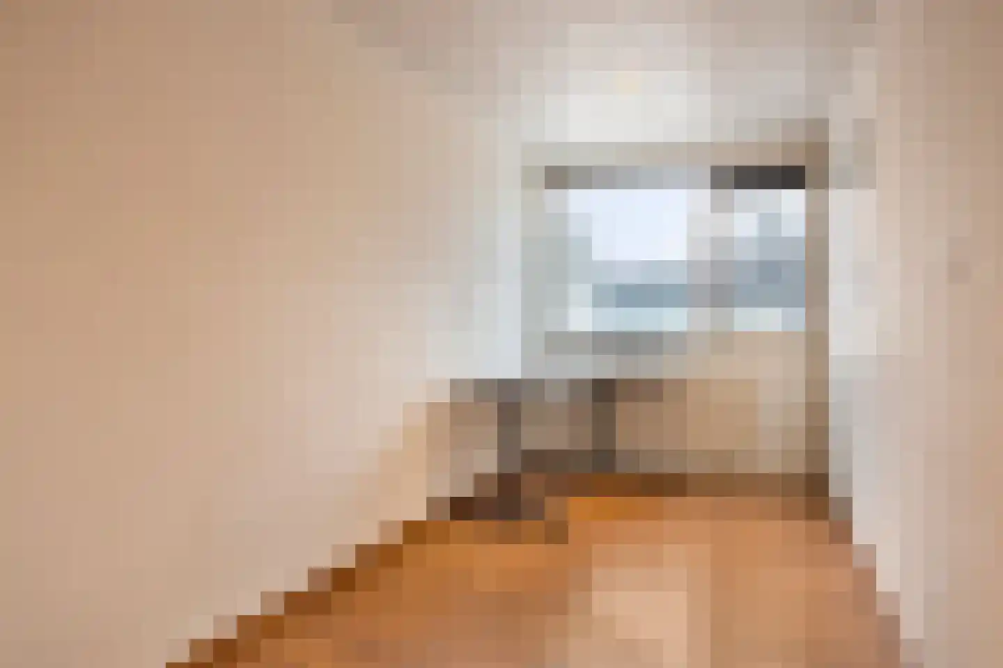 Adelaartlaan 79 Geldrop thumbnail 22