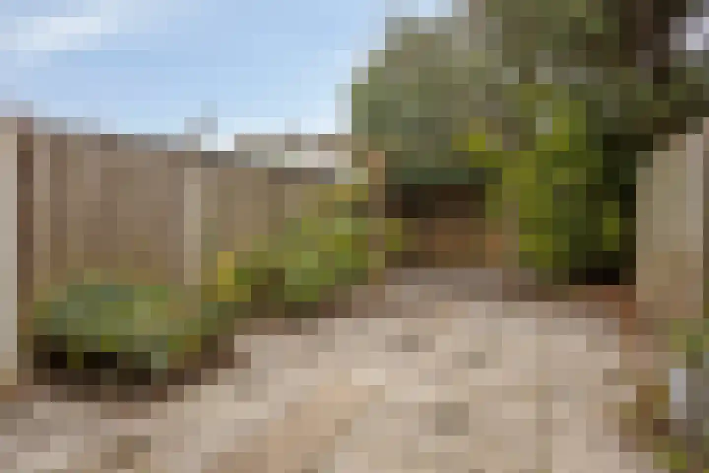 Adelaartlaan 79 Geldrop thumbnail 23