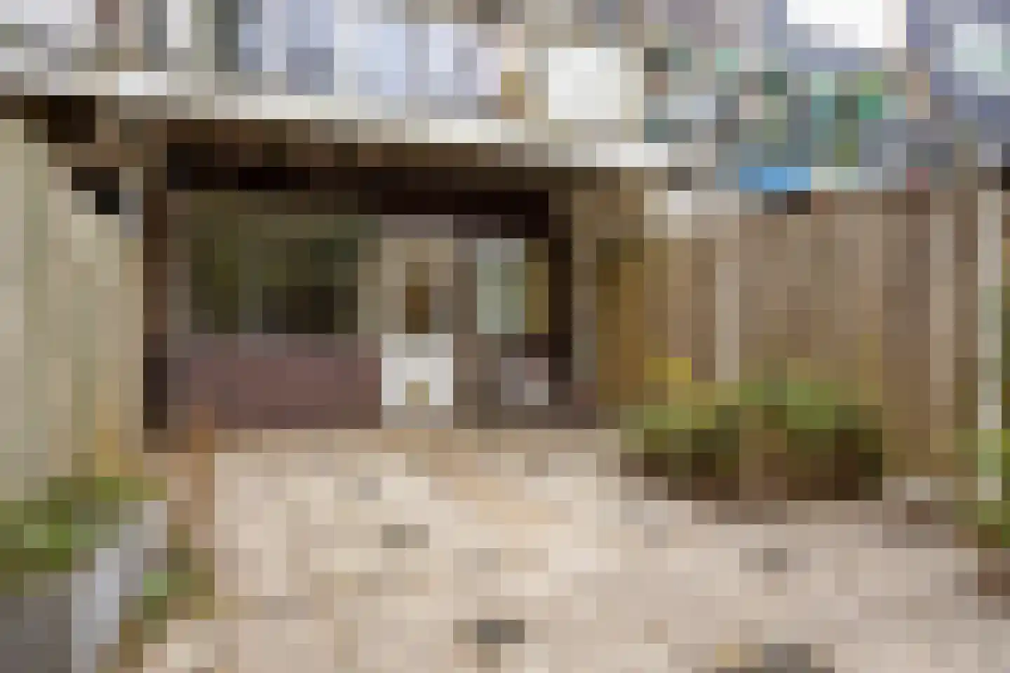 Adelaartlaan 79 Geldrop thumbnail 25