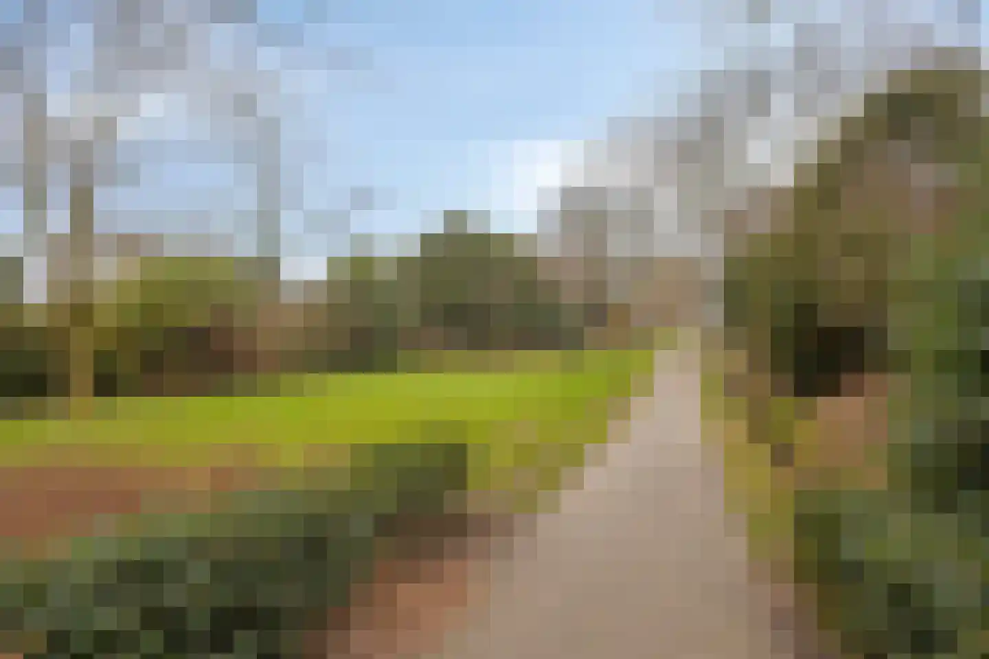 Adelaartlaan 79 Geldrop thumbnail 26