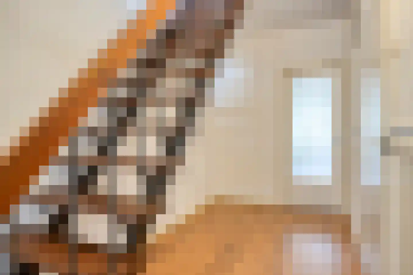 Adelaartlaan 79 Geldrop thumbnail 5