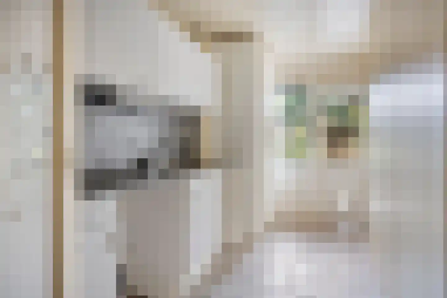 Adelaartlaan 79 Geldrop thumbnail 6