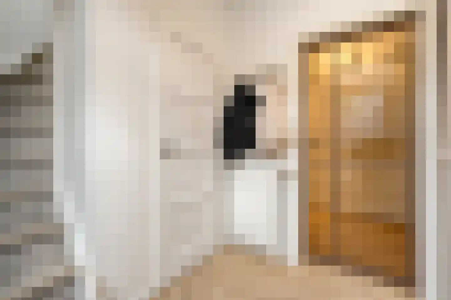 Adelaarweg 33 Dedemsvaart thumbnail 14