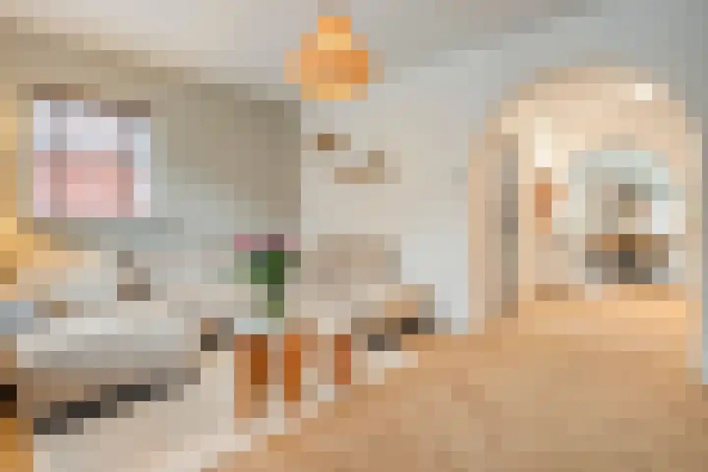 Adelaarweg 33 Dedemsvaart thumbnail 16