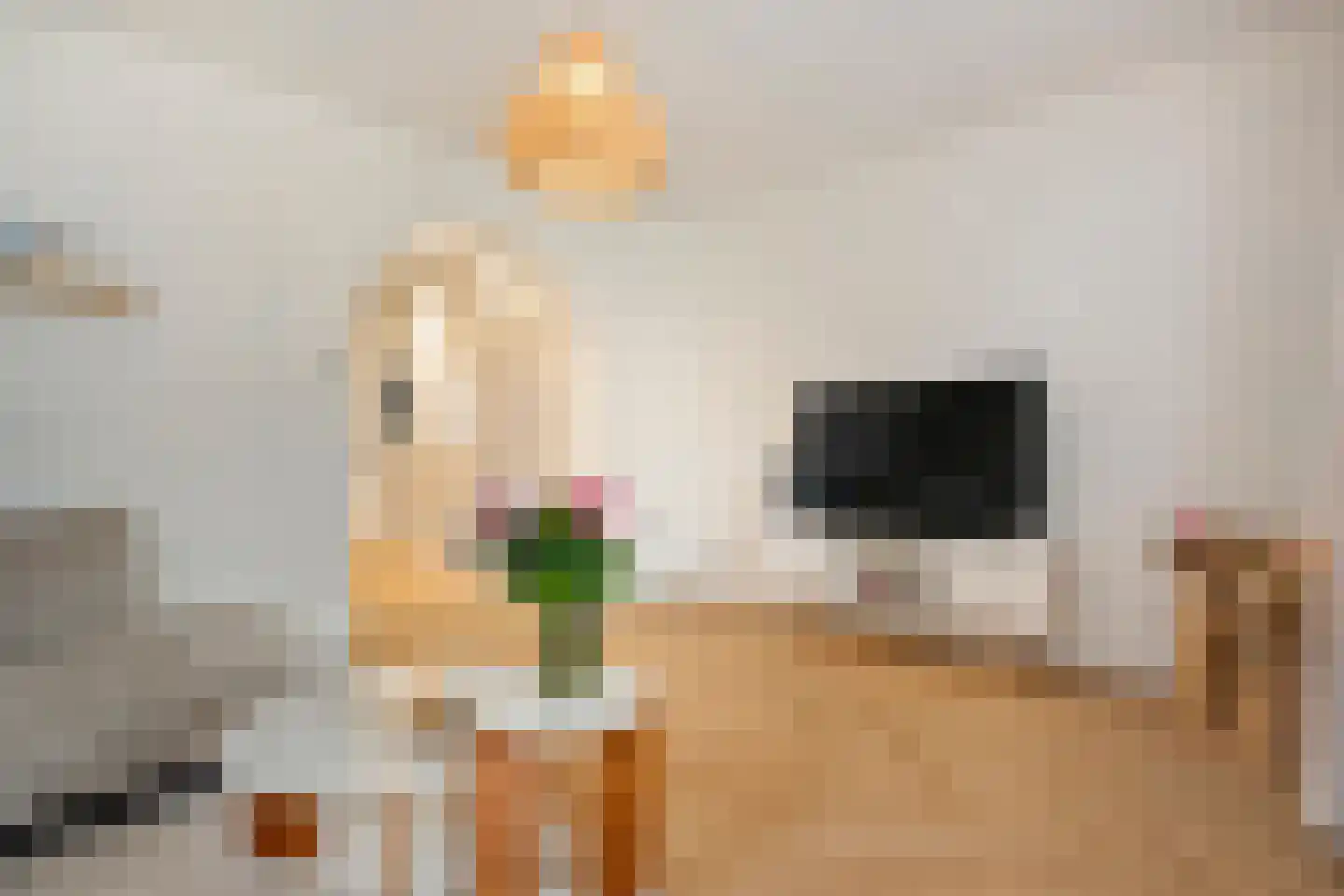 Adelaarweg 33 Dedemsvaart thumbnail 18