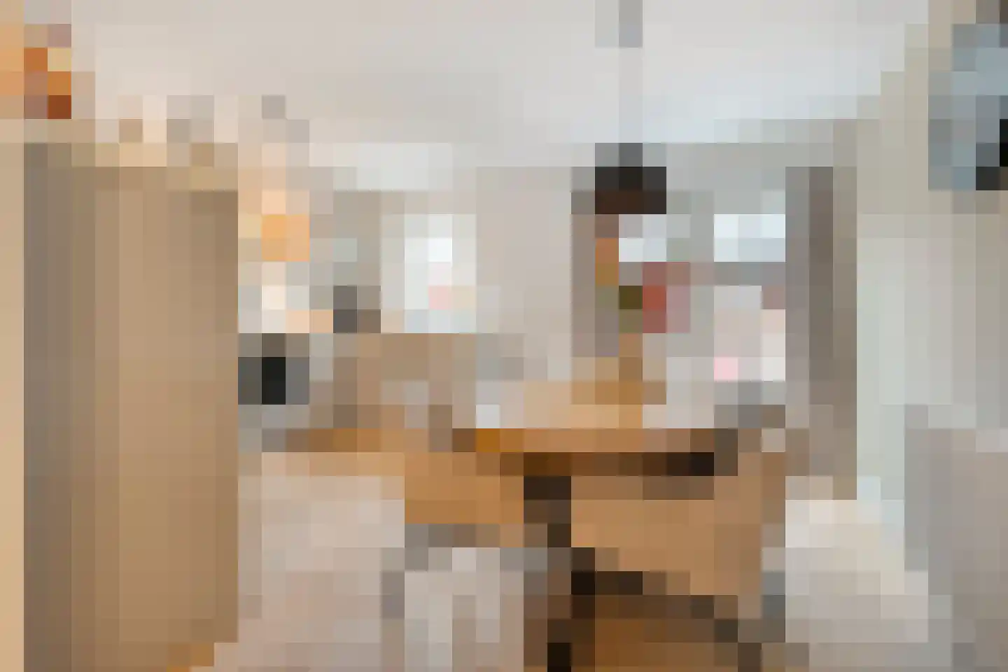 Adelaarweg 33 Dedemsvaart thumbnail 21