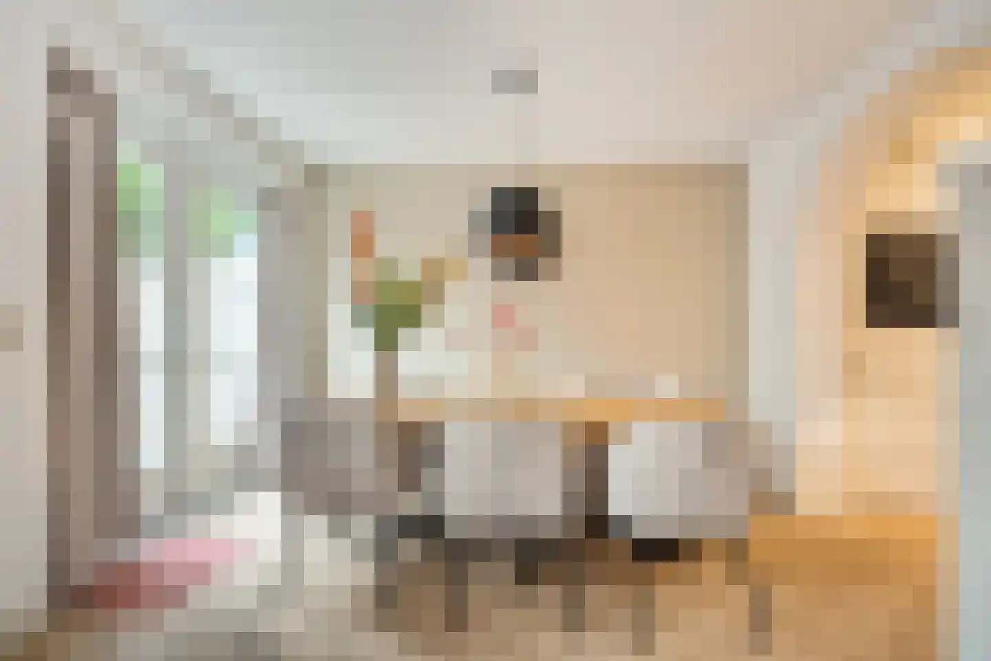 Adelaarweg 33 Dedemsvaart thumbnail 22