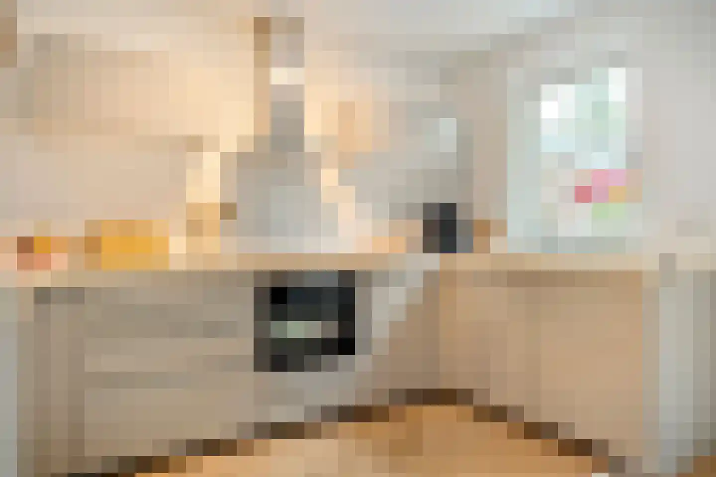 Adelaarweg 33 Dedemsvaart thumbnail 25